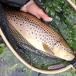 Casa Pesca Vera * Сенегуэ
