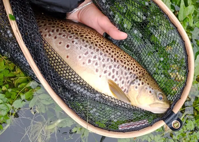 Casa Pesca Vera * Senegüé