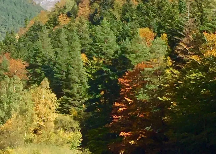 Casa Pesca Vera Lägenhet